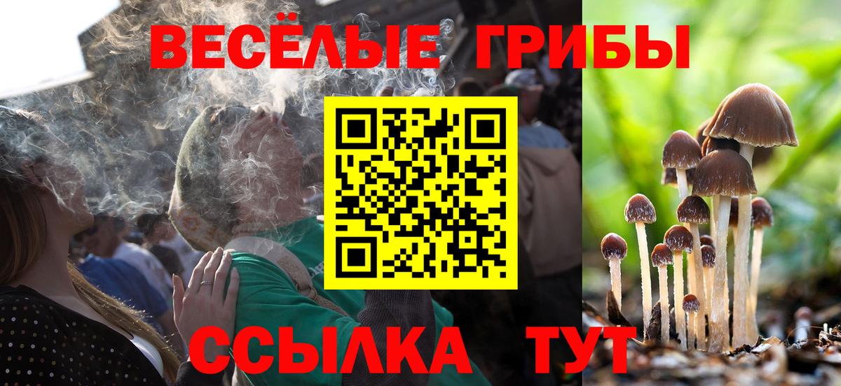 Галлюциногенные грибы мухоморы Реутов