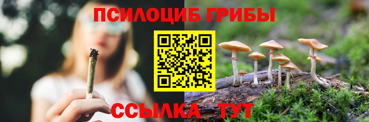 Псилоцибиновые грибы MAGIC MUSHROOMS  Вход с VPN  что такое наркотик  Реутов 